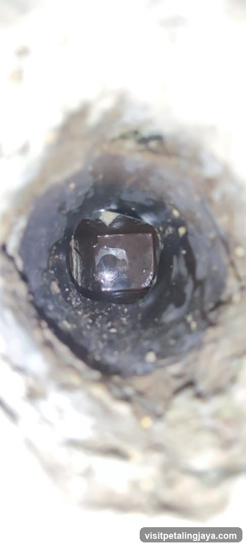 Close-up of a dark, glossy object in a rough texture