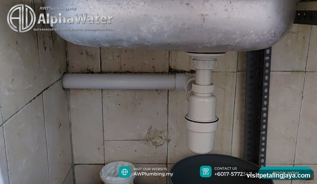 Under-sink plumbing inspection