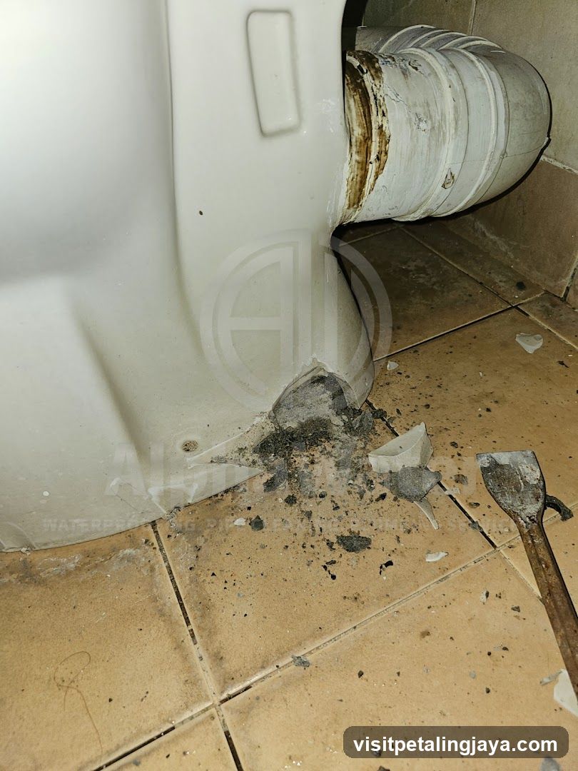 Toilet Base Disassembly