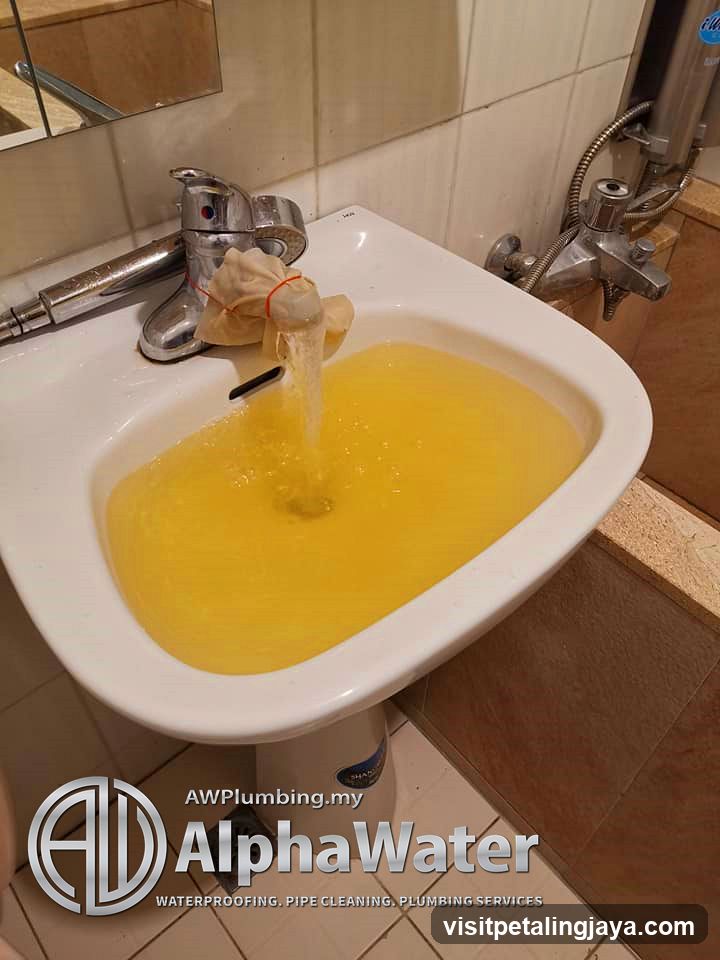 Plumbing Service Advertisement