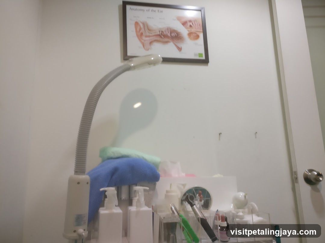 Medical or Dental Office Interior