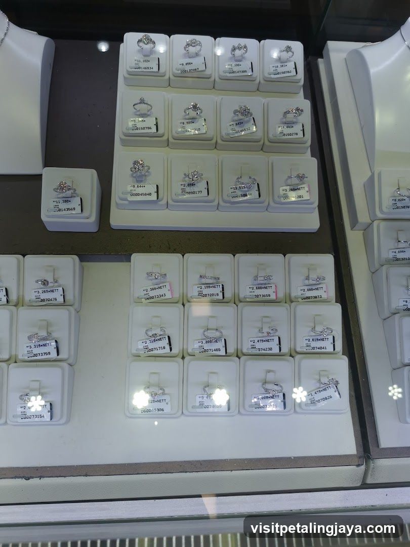 Jewelry Display Case