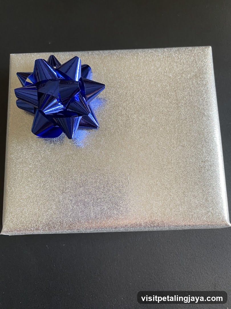 Gift Box with Blue Bow
