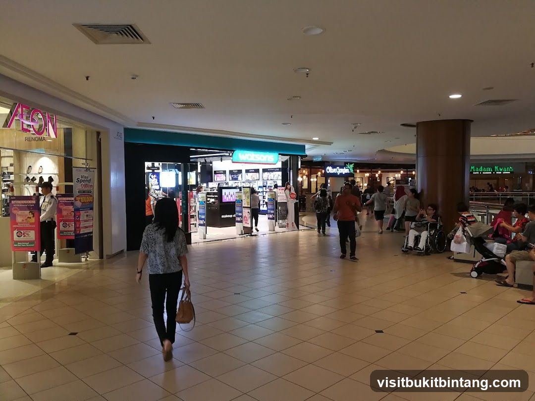 Mall Interior with Shops and Shoppers