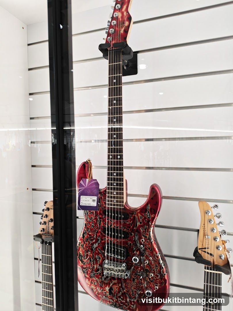Guitars on Display