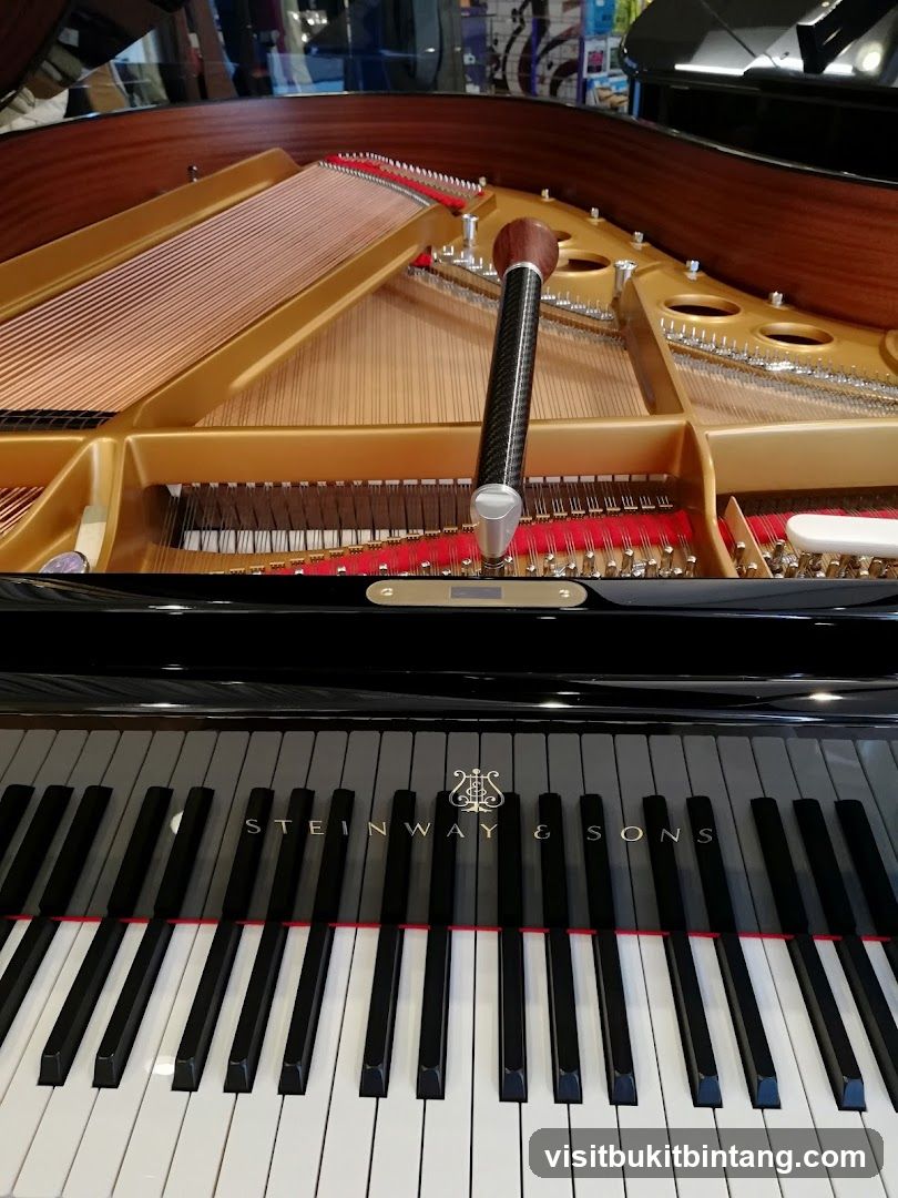 Steinway & Sons Grand Piano Interior