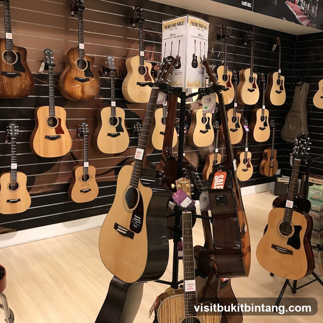 Guitars on Display