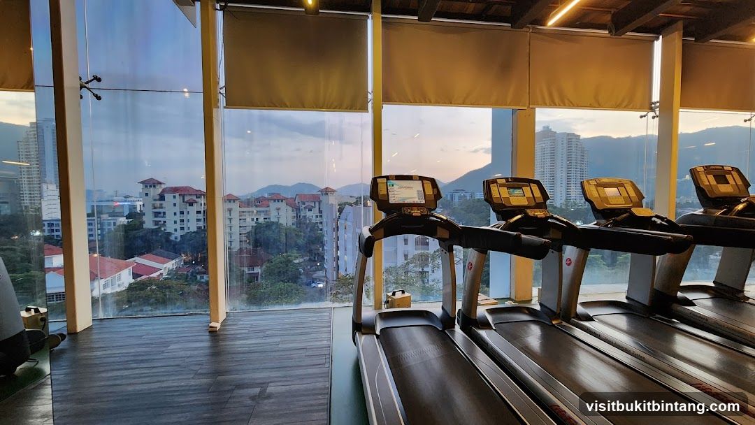 Gym with Treadmills and City View