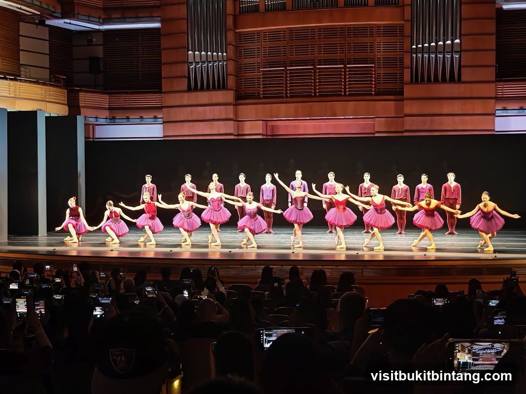Ballet Performance