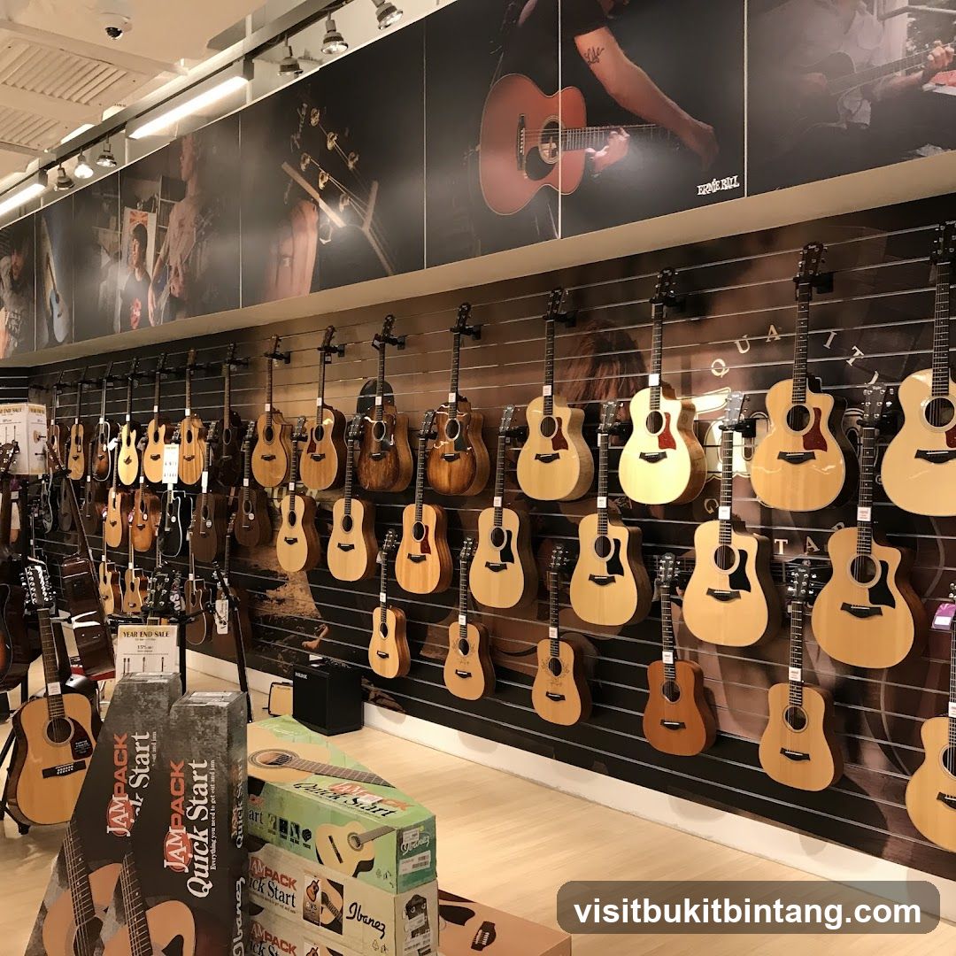 Guitar Store Display