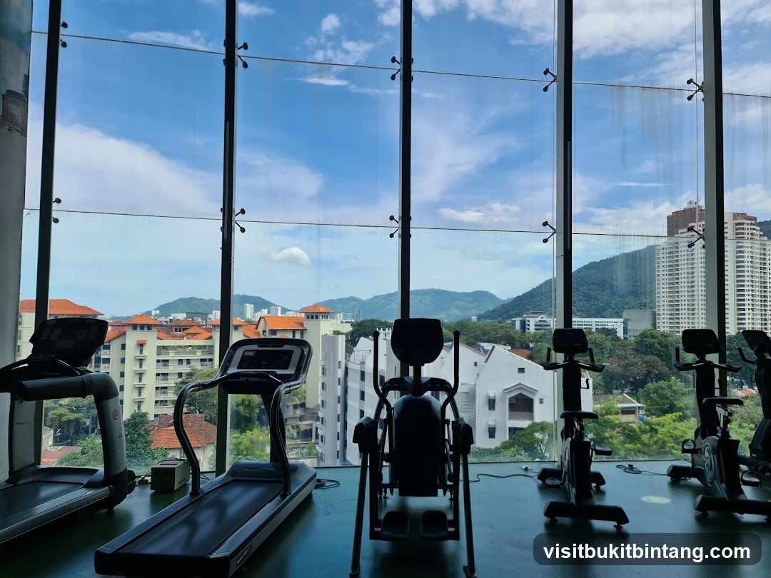 Gym with a View