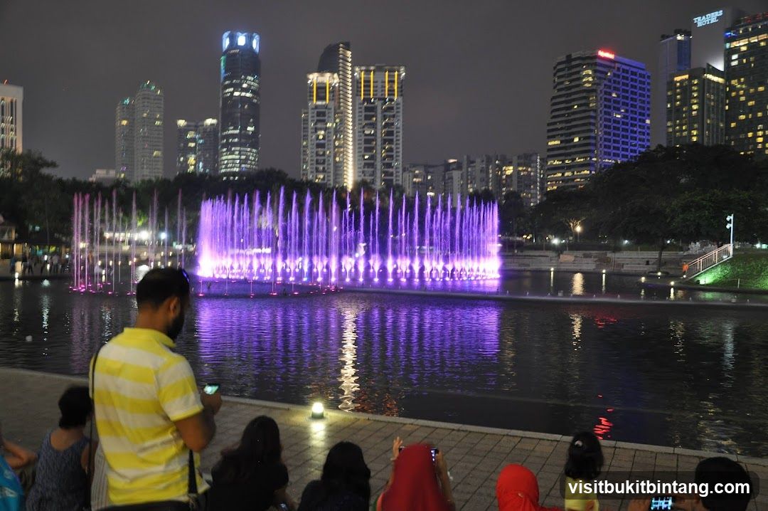 Nighttime Fountain Show with City Skyline