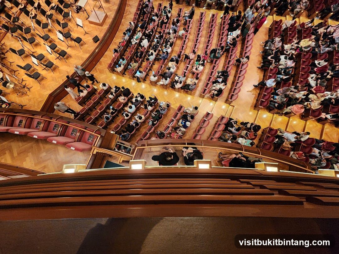 Audience in an Auditorium