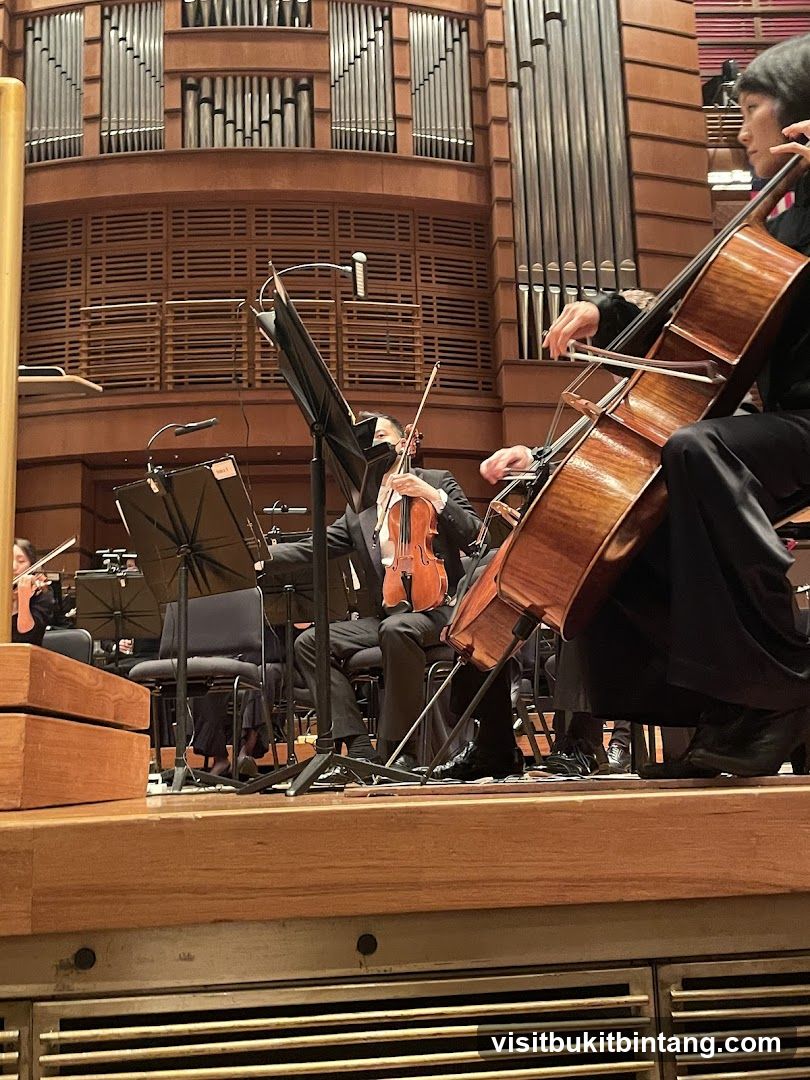 Orchestra Performance