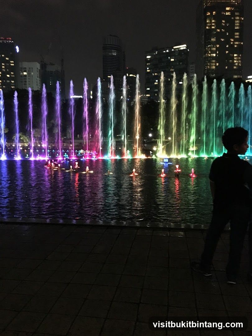 Nighttime Fountain Display