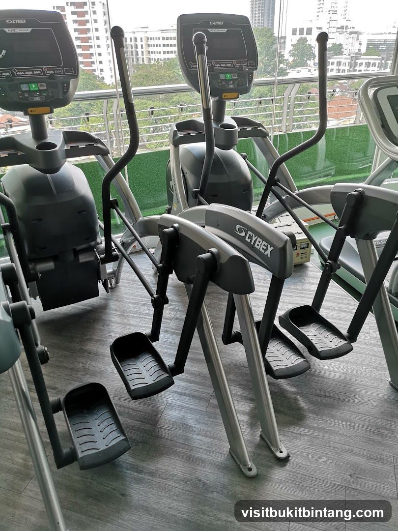 Cybex Arc Trainers