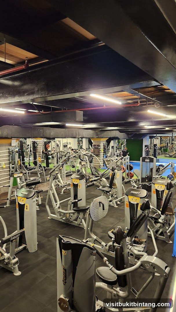 Gym Interior