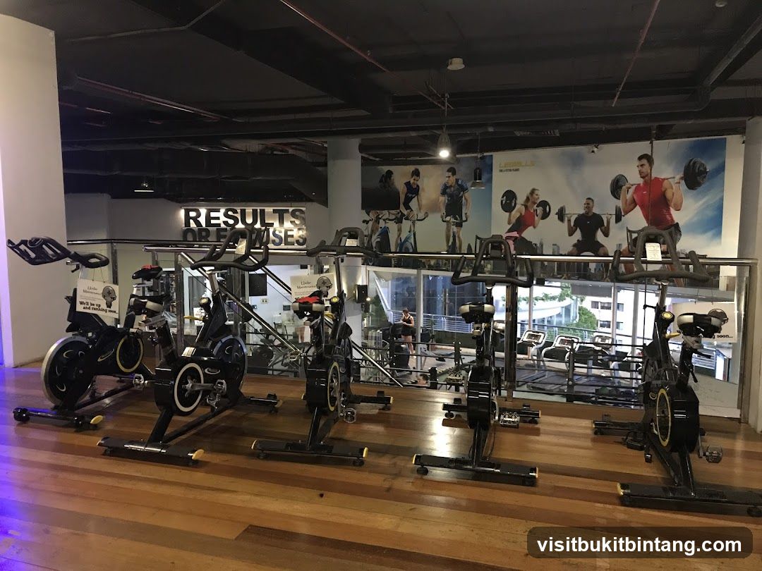Gym Interior with Exercise Bikes and Treadmills