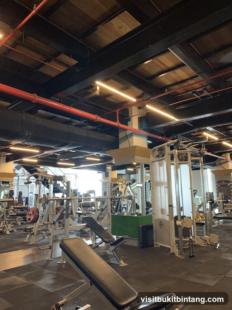 Gym Interior