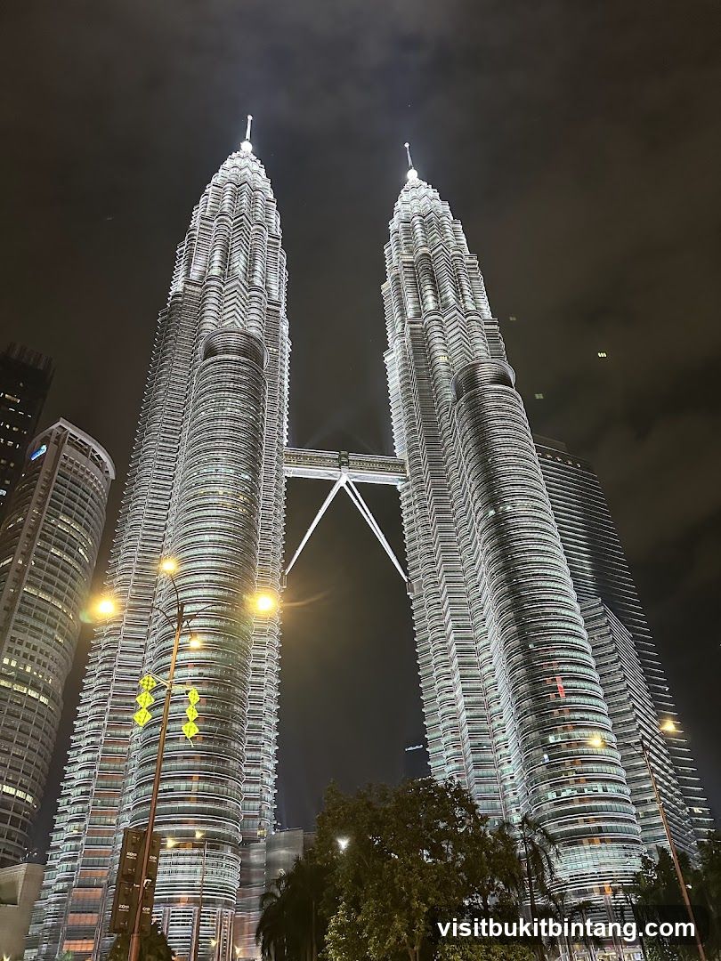 Petronas Towers at Night