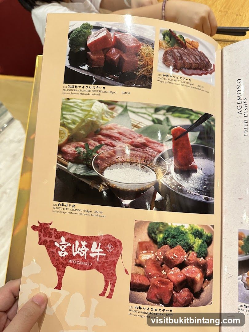 AGEMONO FRIED DISHES