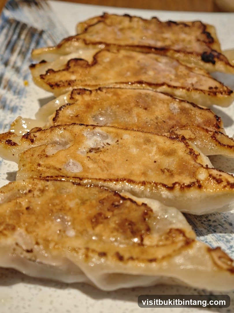 Pan-fried dumplings