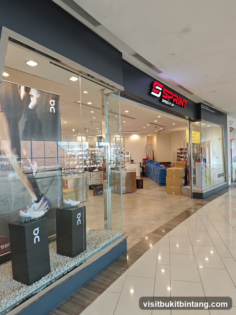 SPRINT Gurney Paragon