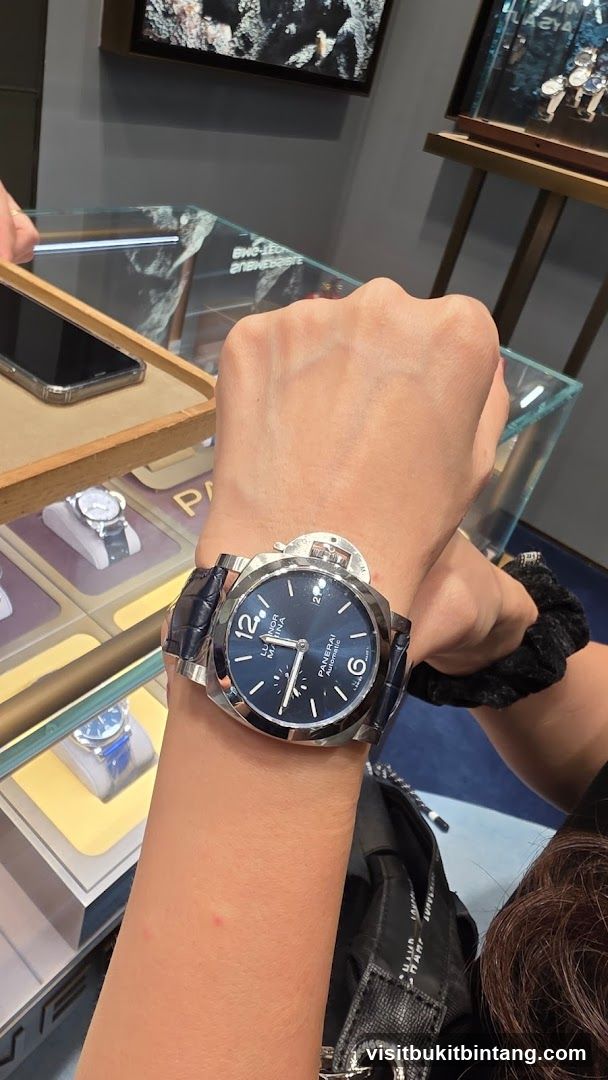 Swiss Watch Gurney Paragon