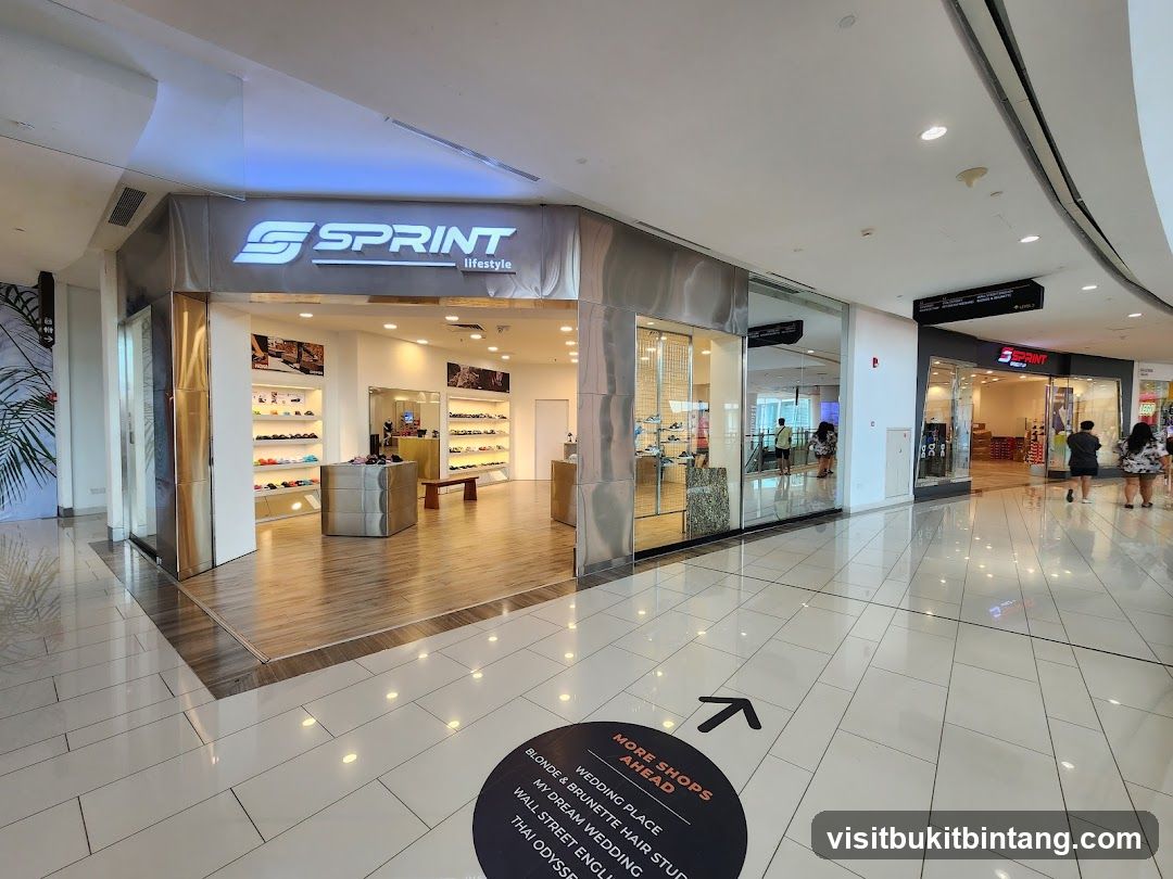 SPRINT Gurney Paragon