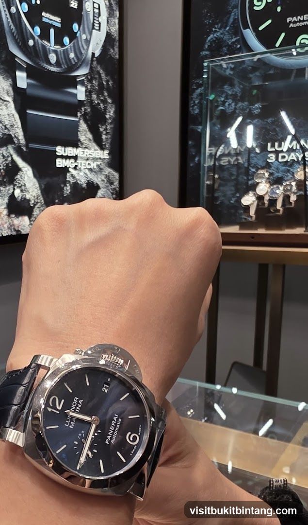 Panerai Watch Display