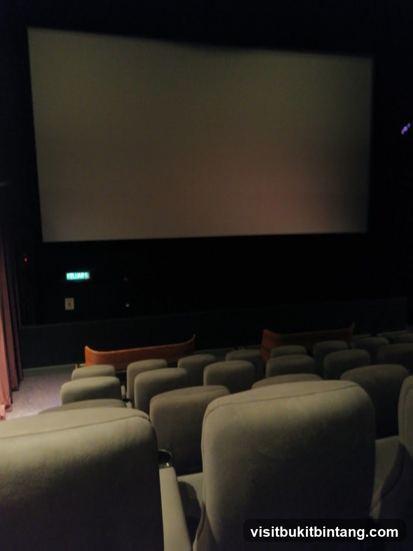 Cinema Auditorium