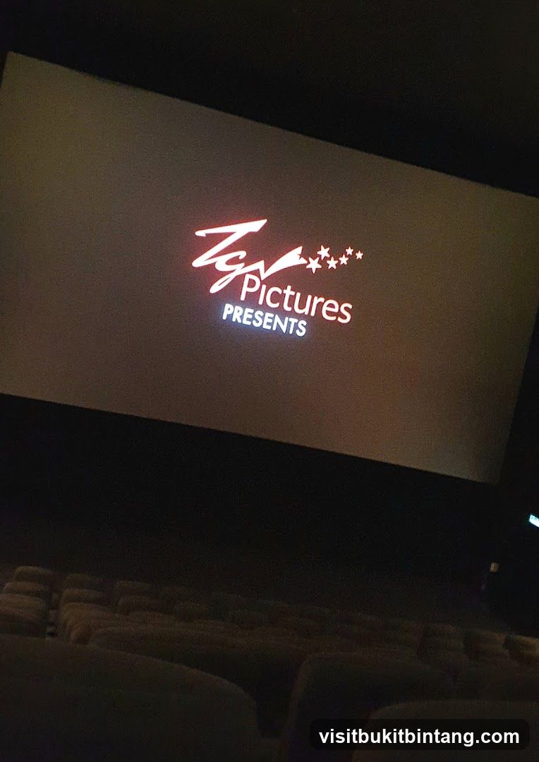 Movie Theater Screen