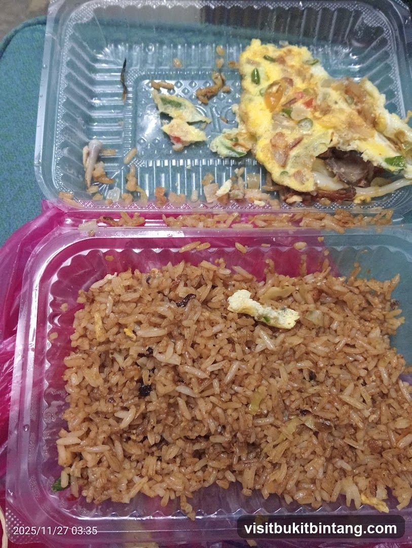 Fried Rice and Omelette