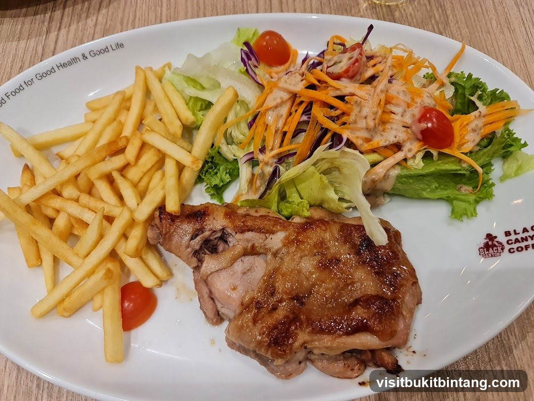 Grilled Chicken with Fries and Salad