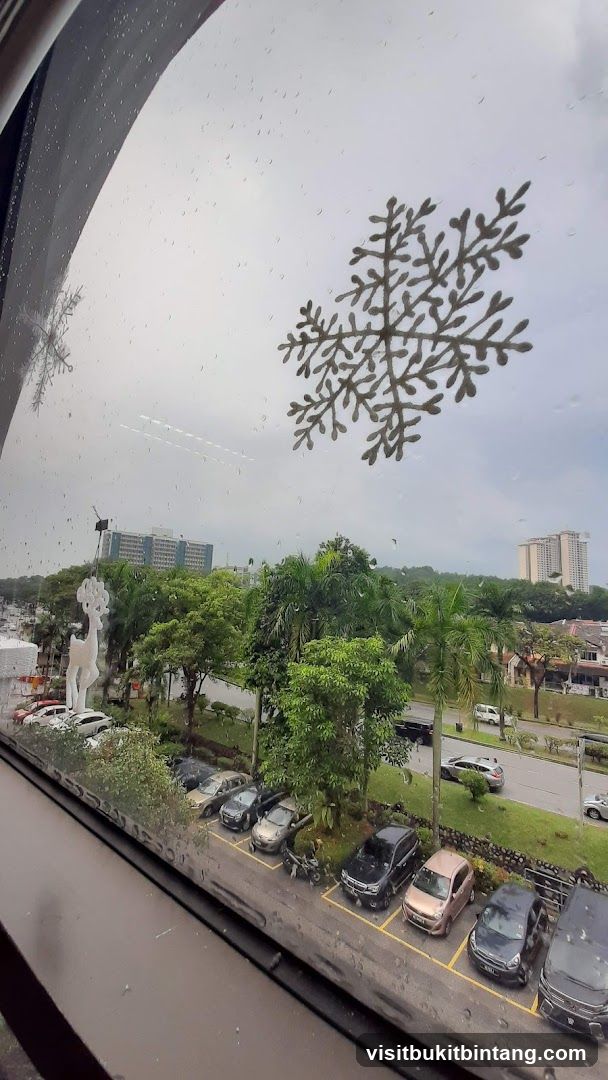 Snowflake decorations on a rainy window