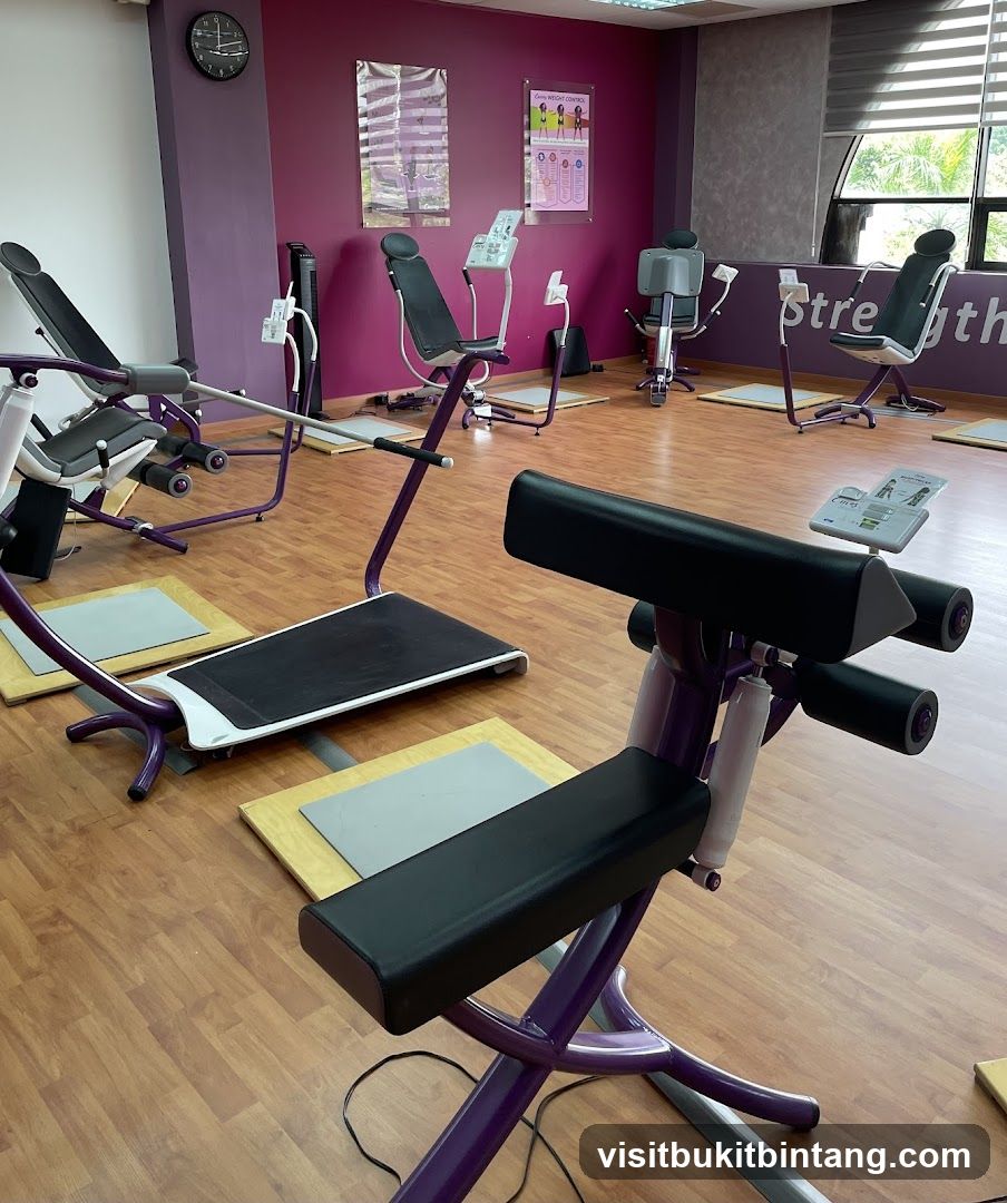 Gym Equipment