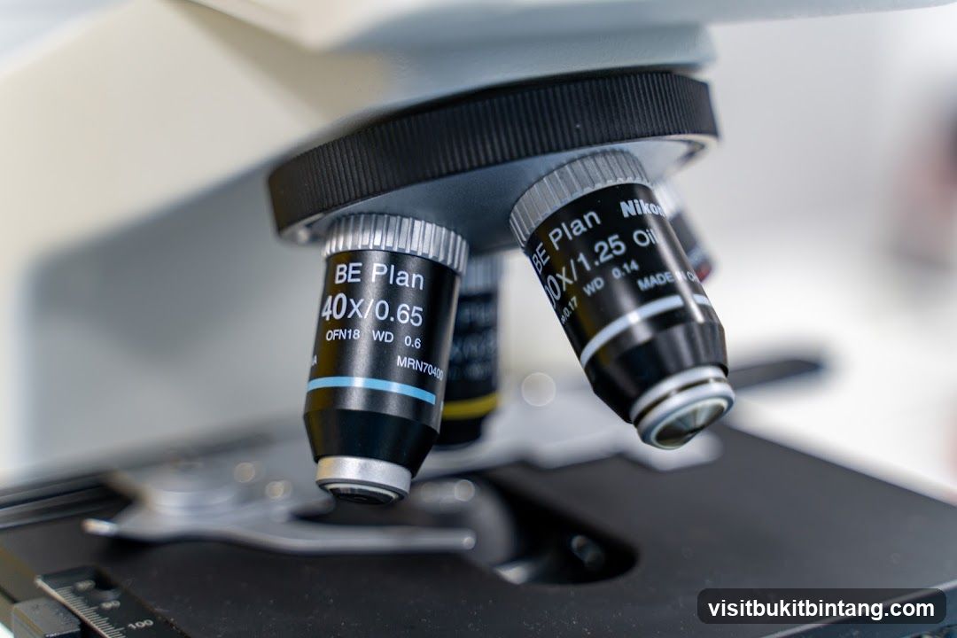 Microscope Lenses