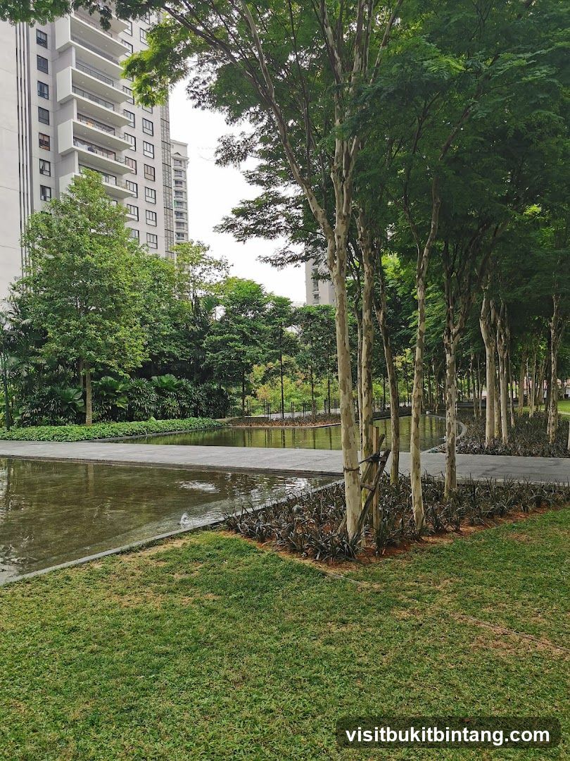 Modern Apartment Buildings and Reflecting Pool