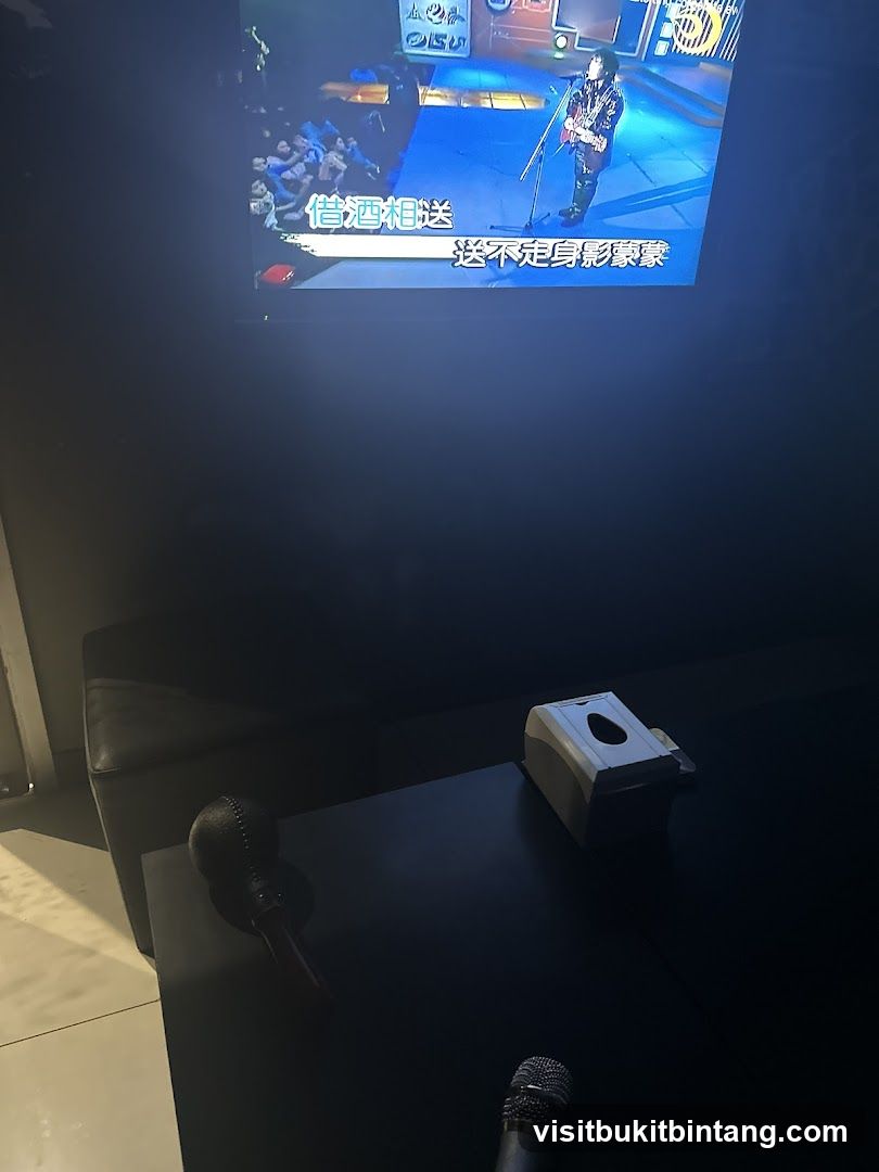 Karaoke Room