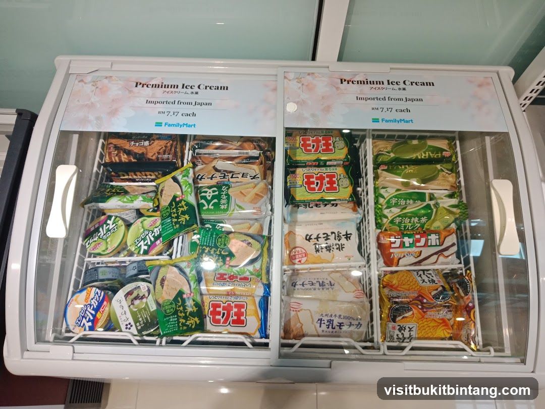 Premium Ice Cream Freezer