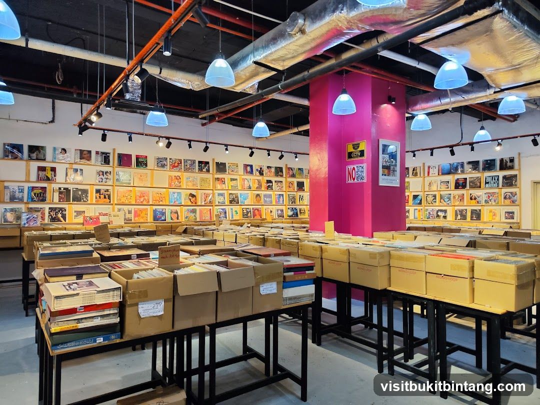 Record Store Interior