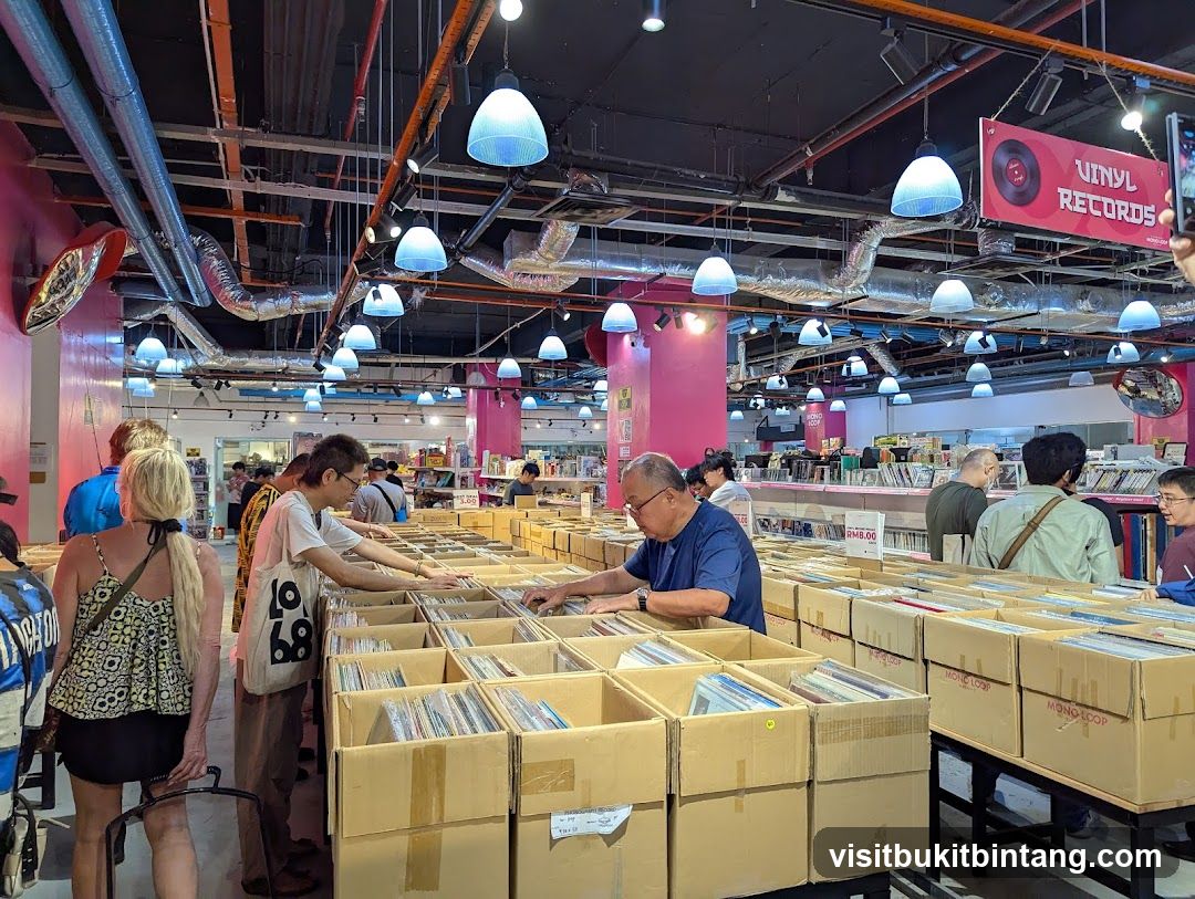 Record Store Browsing