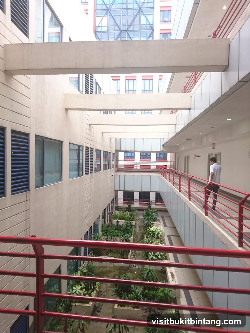 Modern Courtyard with Greenery