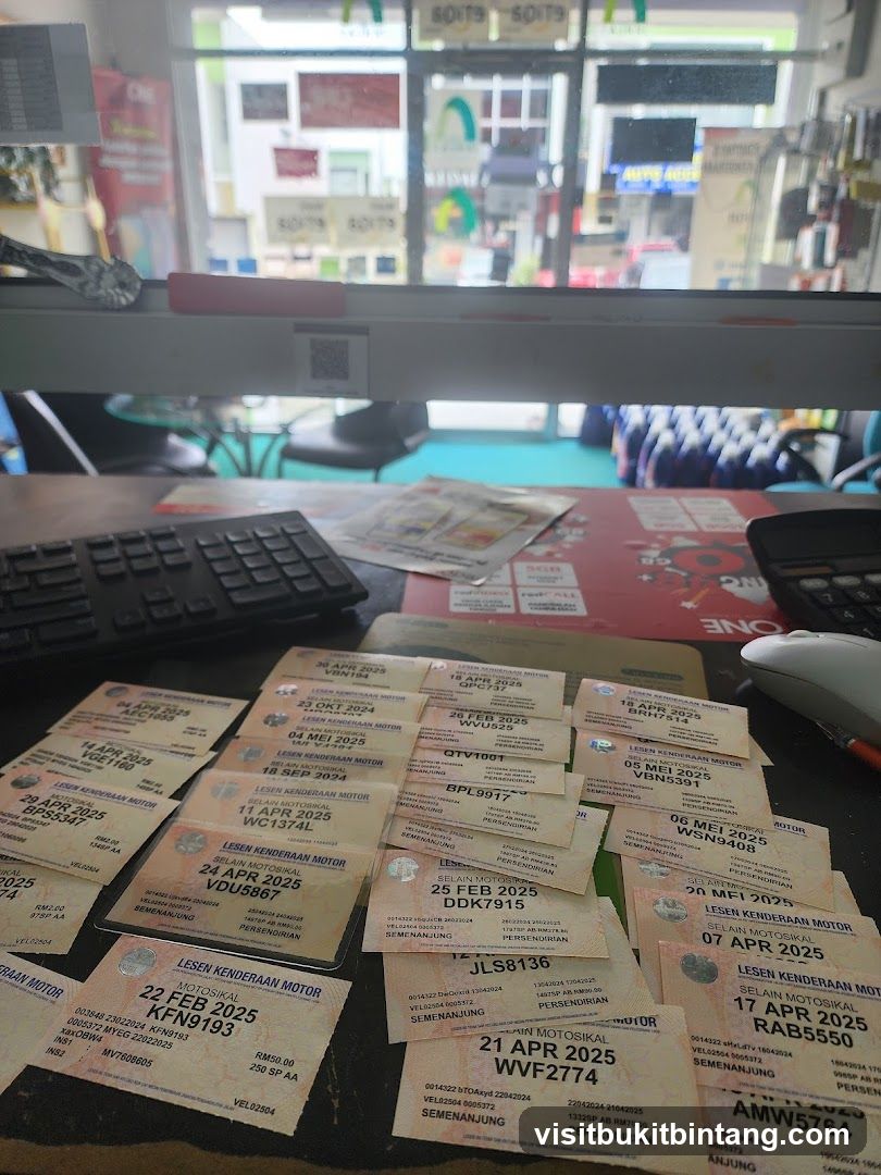 Vehicle Licenses