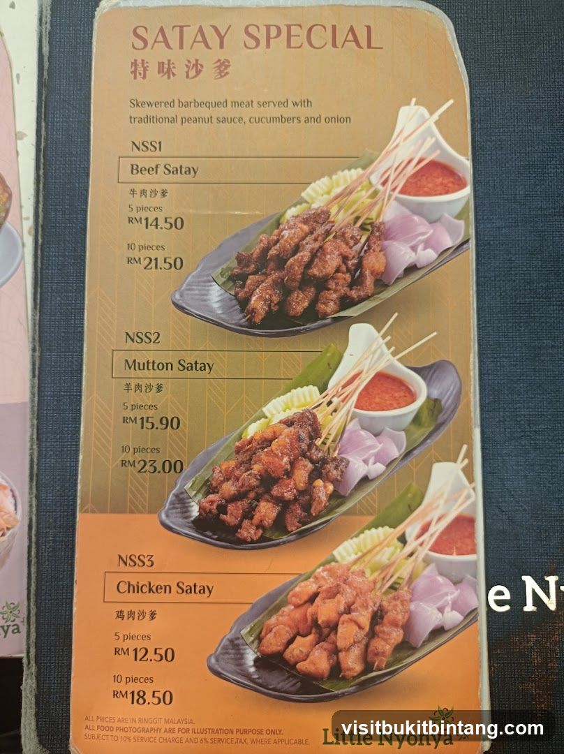 SATAY SPECIAL