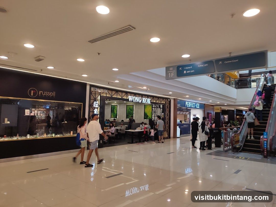 Mall Interior with Shops and Escalators