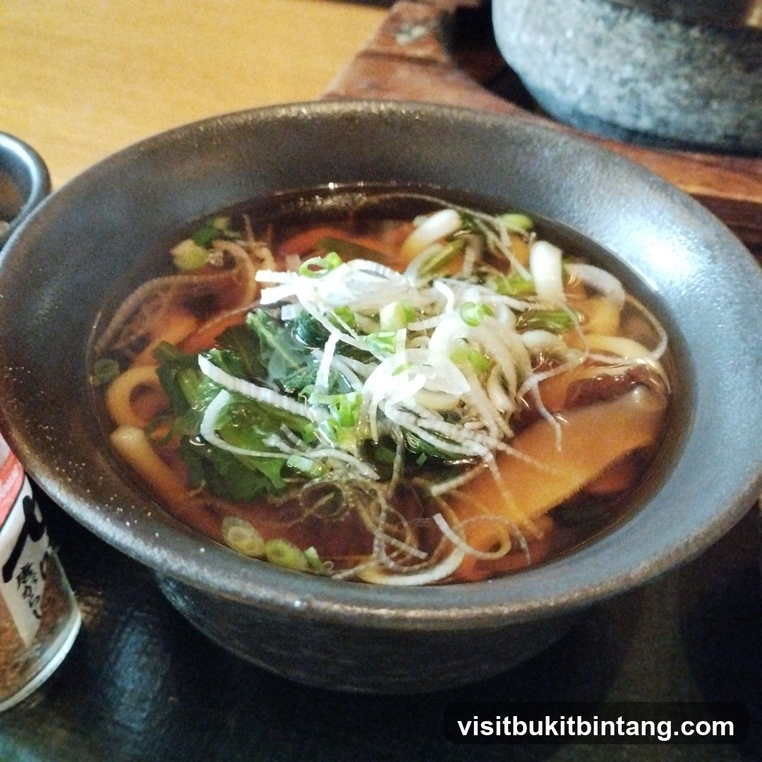 Udon Noodle Soup