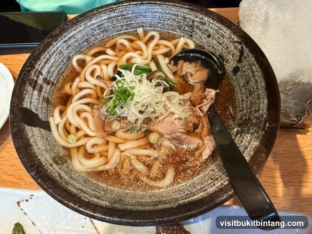 Udon Noodle Soup