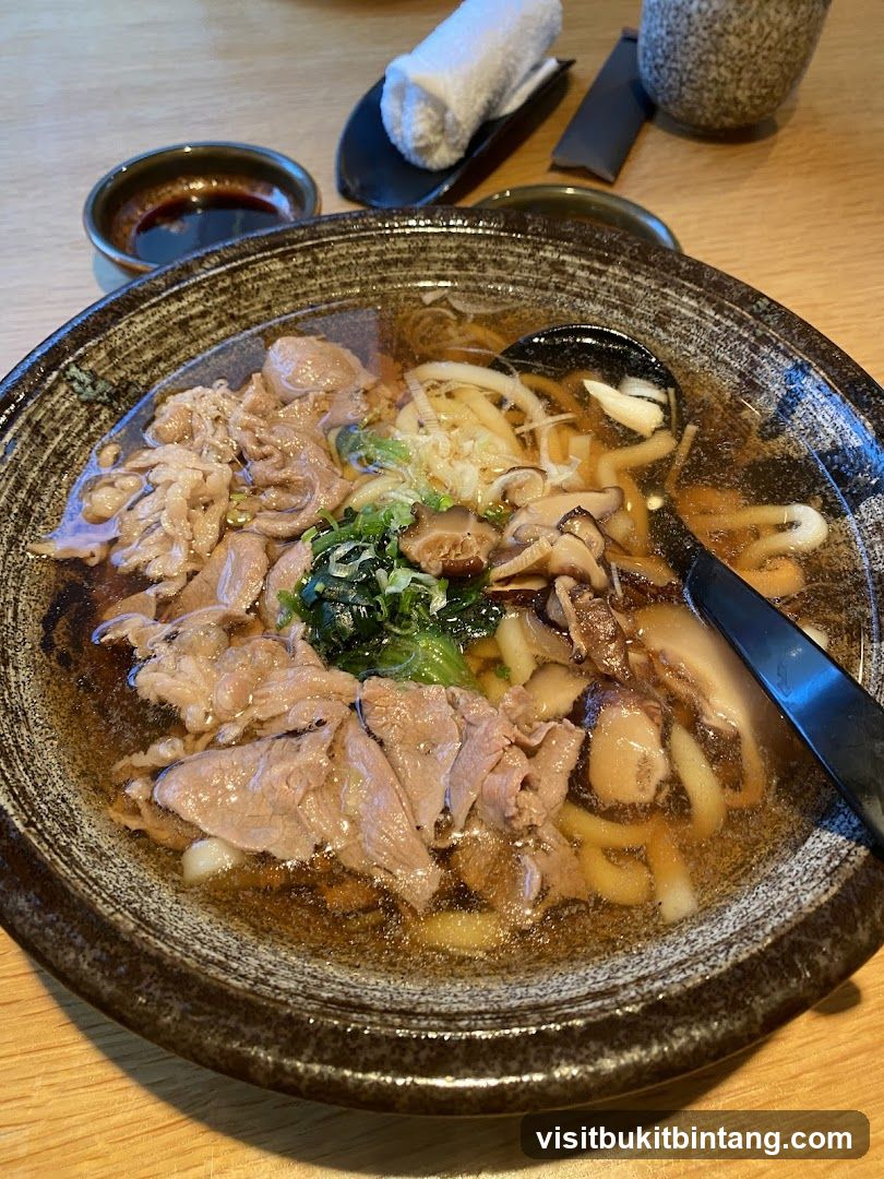 Beef Udon Soup