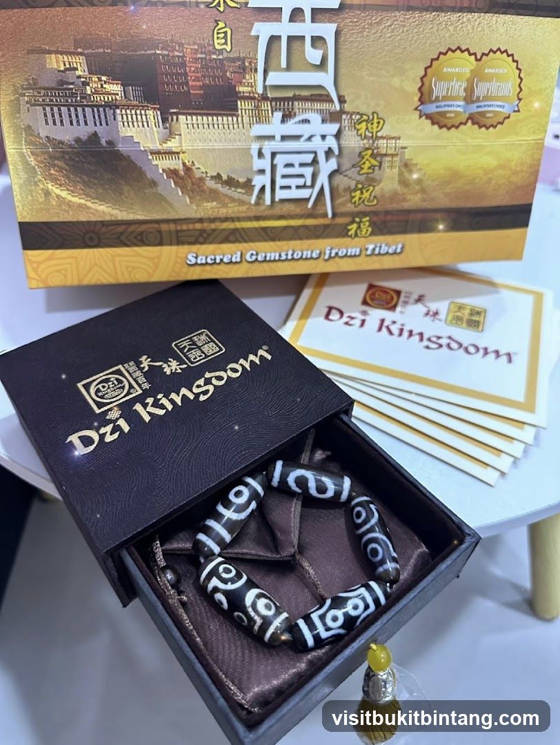 Dzi Kingdom Bracelet
